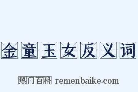 金童玉女反义词是什么意思的图片